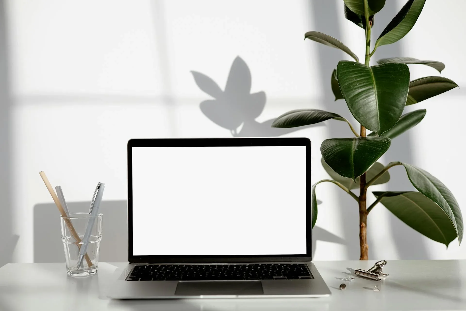 Chic Cocoon’s new website on screen
